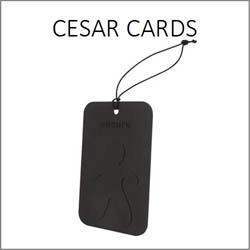 Cesare Scent Card - Mr & Mrs Fragrance